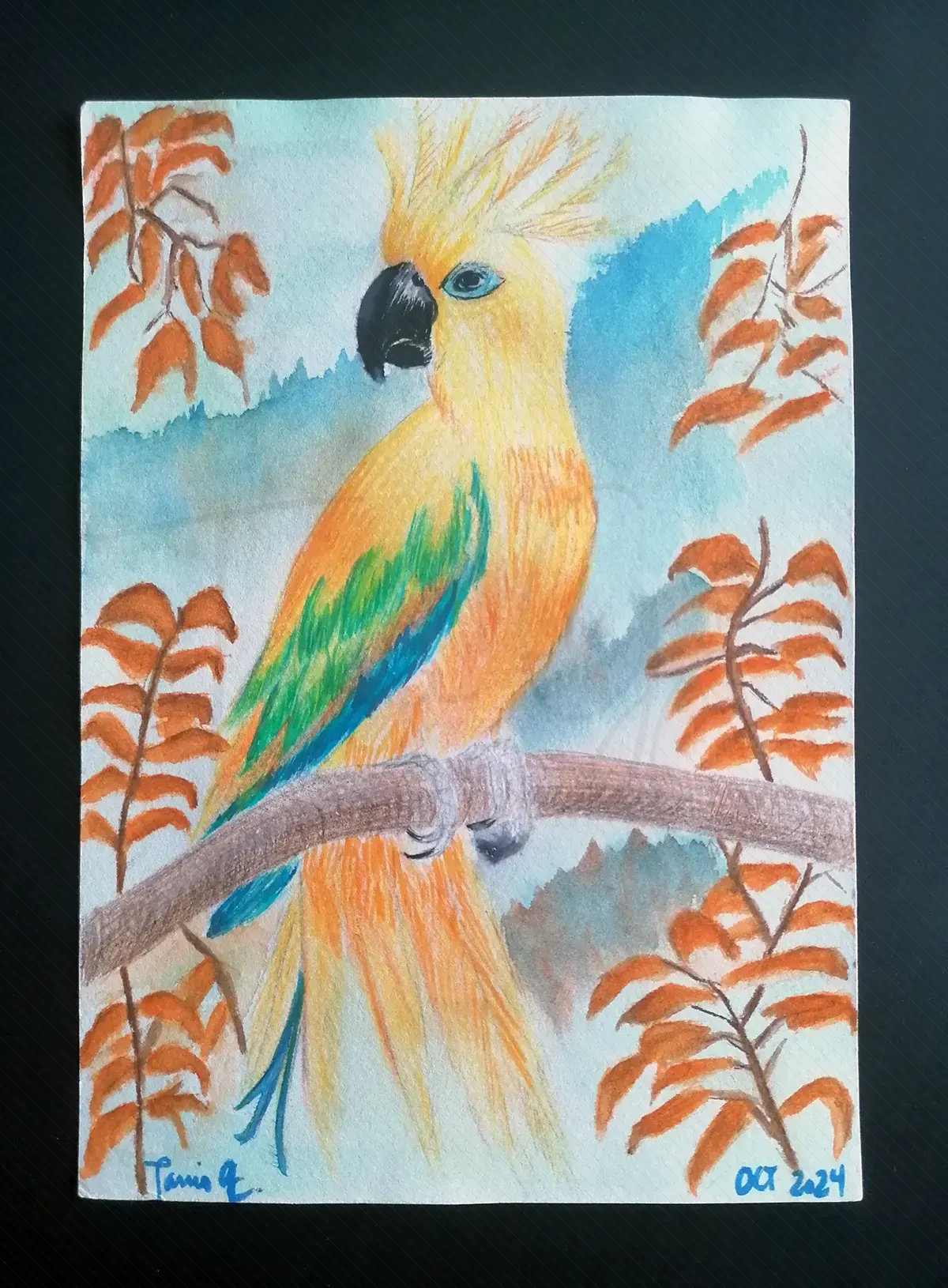 Cacatúa